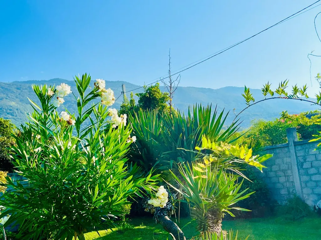 Квартира Квартира Гостевой дом "Витторио" с панорамным видом на горы — Гагра