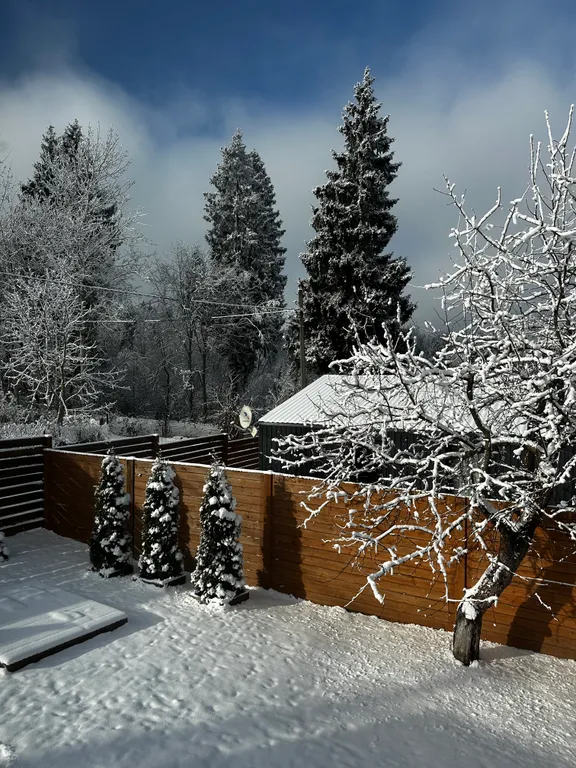 Домик близ Сорочан