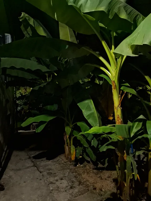 Дом для большой семьи