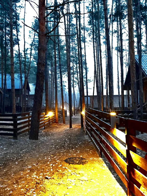 Коттеджи на берегу Волги в сосновом лесу. База отдыха " Хвоя Эко"