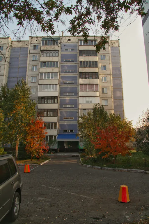 Рыжий Кот возле Парка