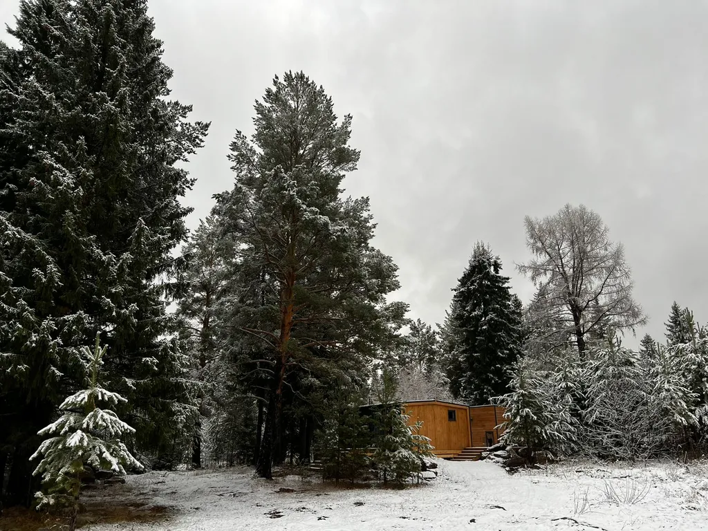 Дом в лесу с баней и чаном