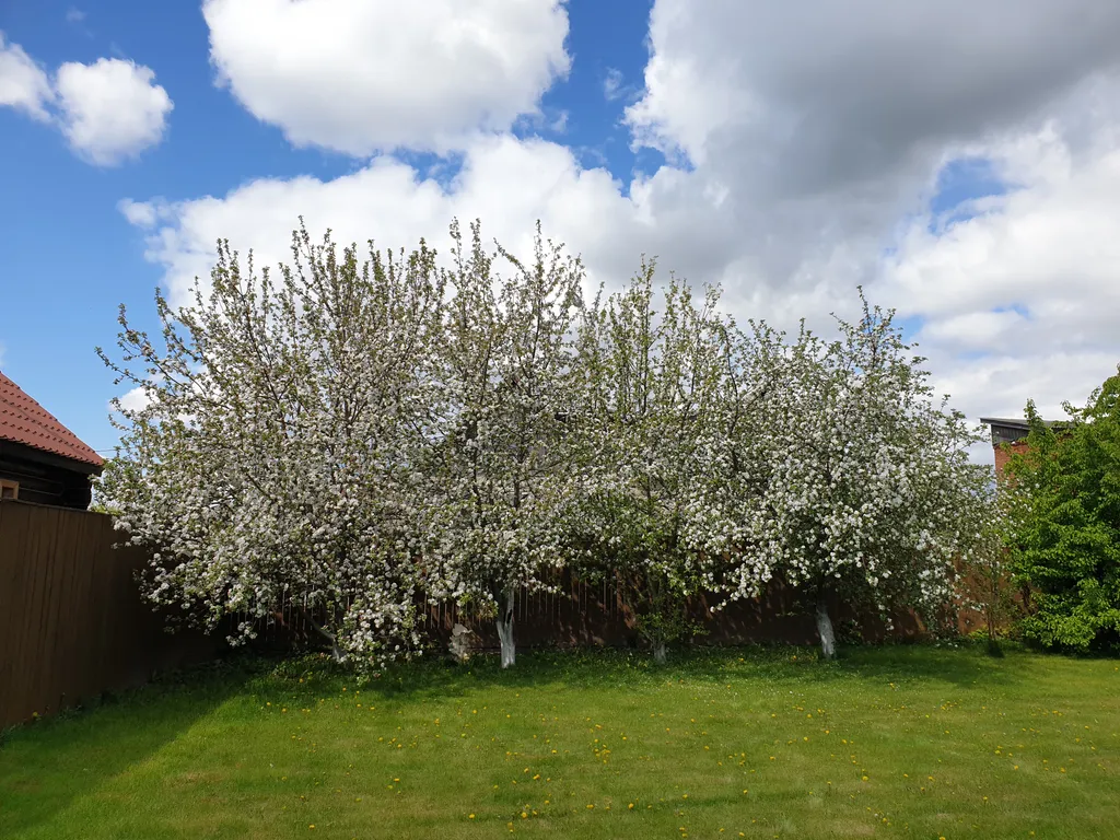 3-комнатный Дом