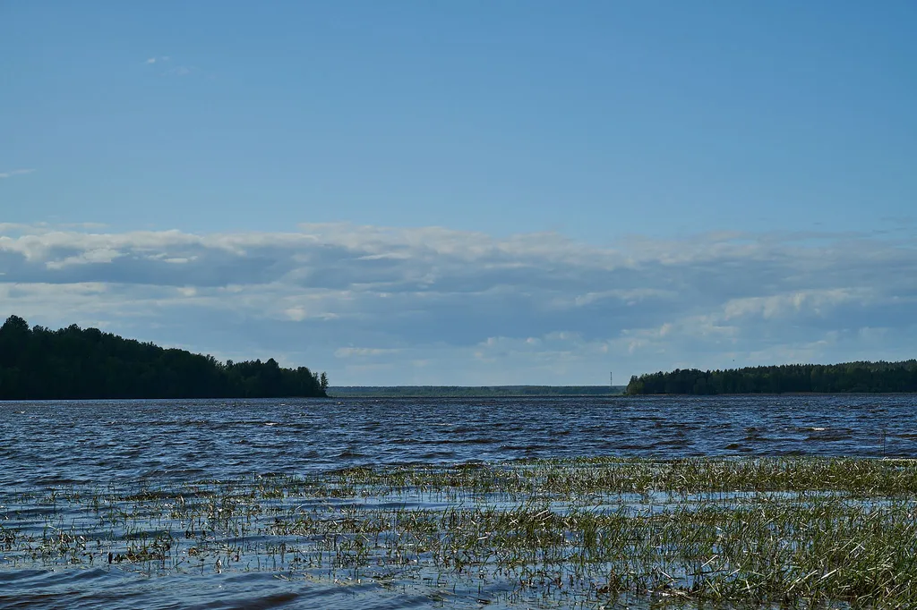 Коттедж Уютный коттедж рядом с озером — Светлое
