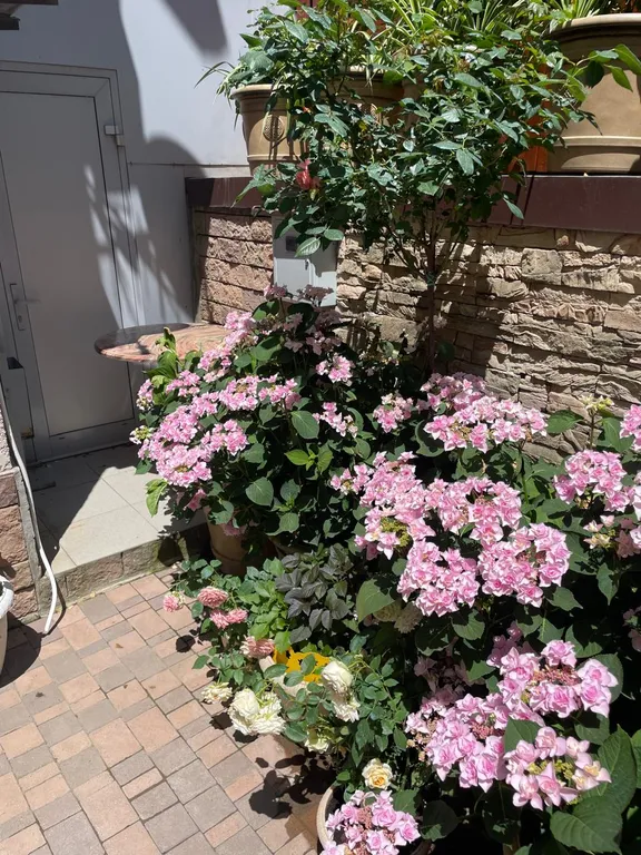 Апартаменты двухкомнатные на первом этаже - 7 мест