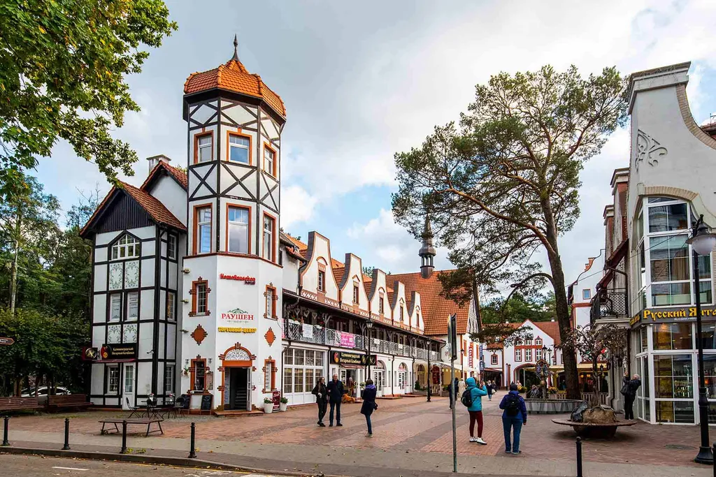 Квартира Квартира Уютный номер в ТРЦ Хоум Раушен в центре Светлогорска — Светлогорск