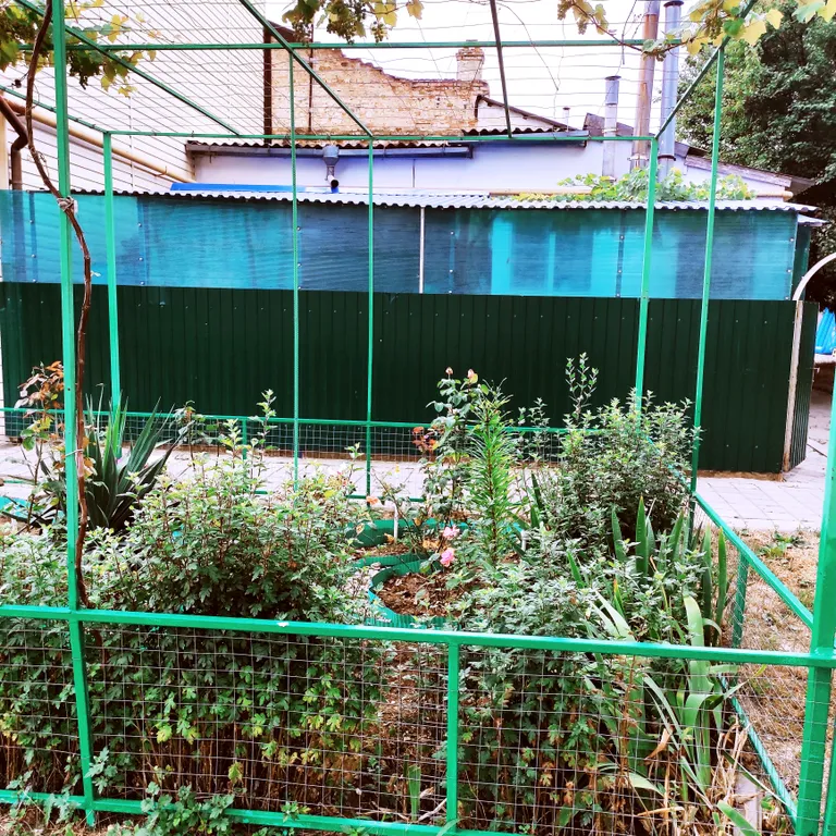 Коттедж Частный дом в 654 метрах до моря — Анапа