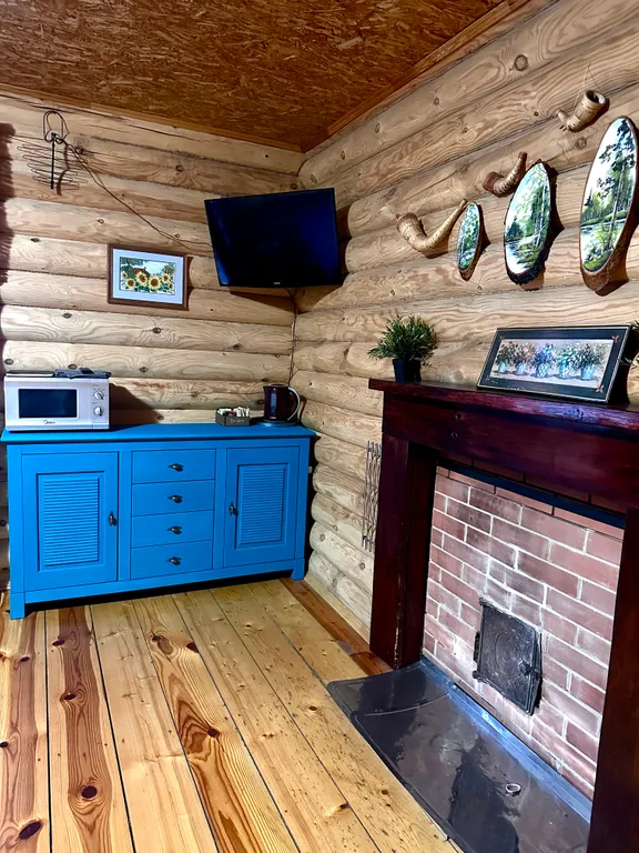 Коттедж Дом на берегу пруда — Бор