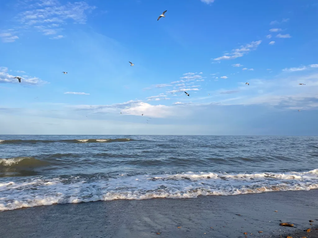 Деревянный дом у моря