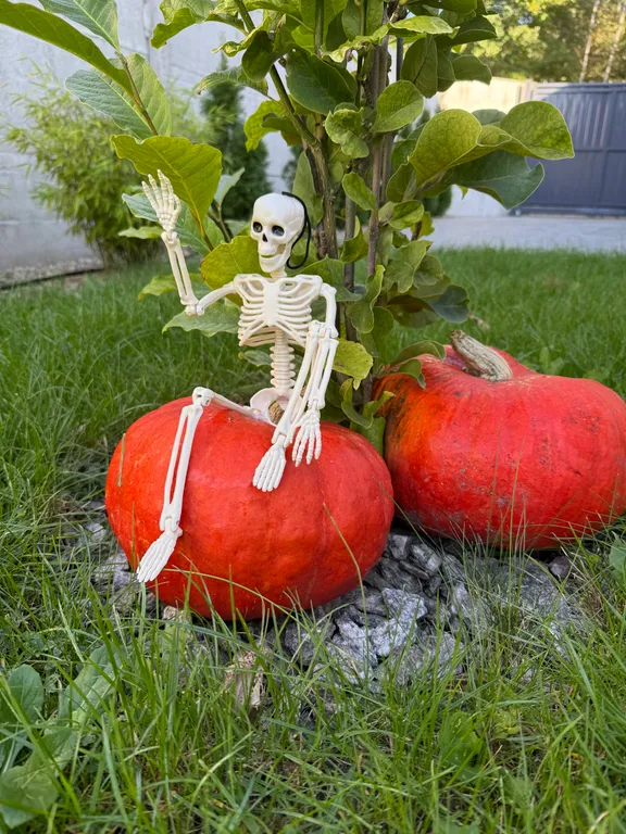 Коттедж белая береза