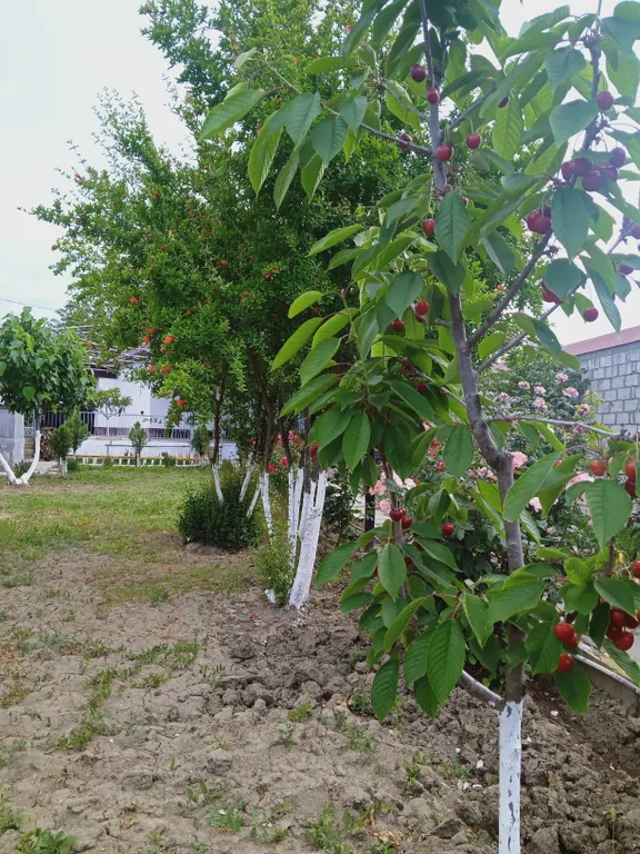 Дача для вашего отдыха