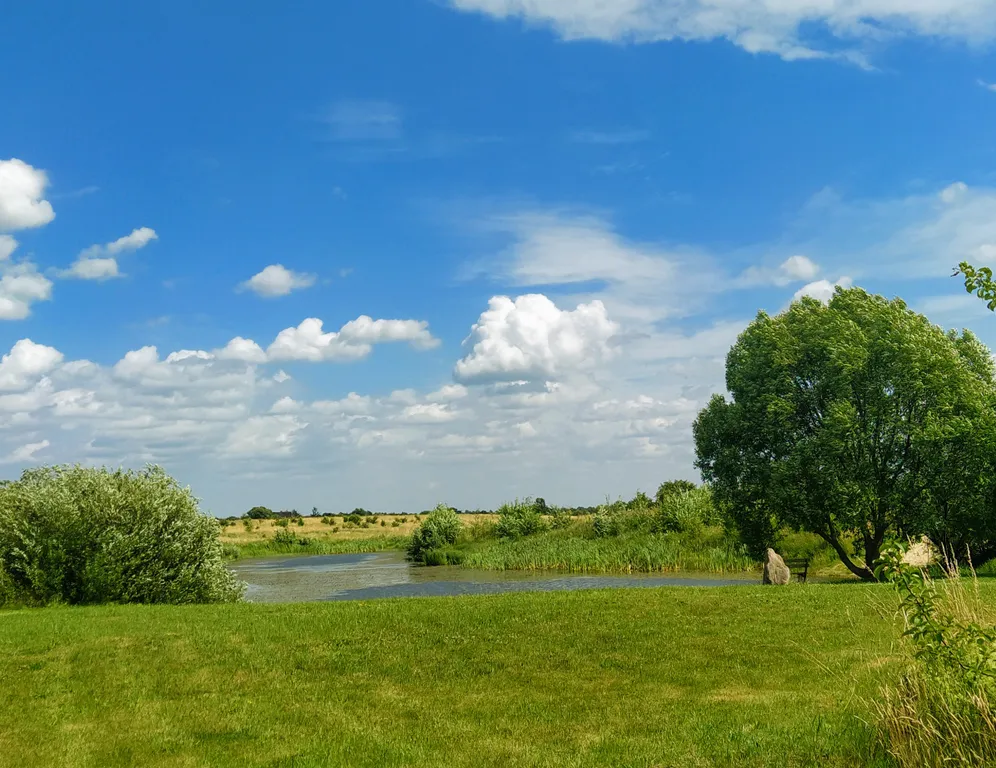 Коттедж Домик в яблоневом саду — Светлогорск
