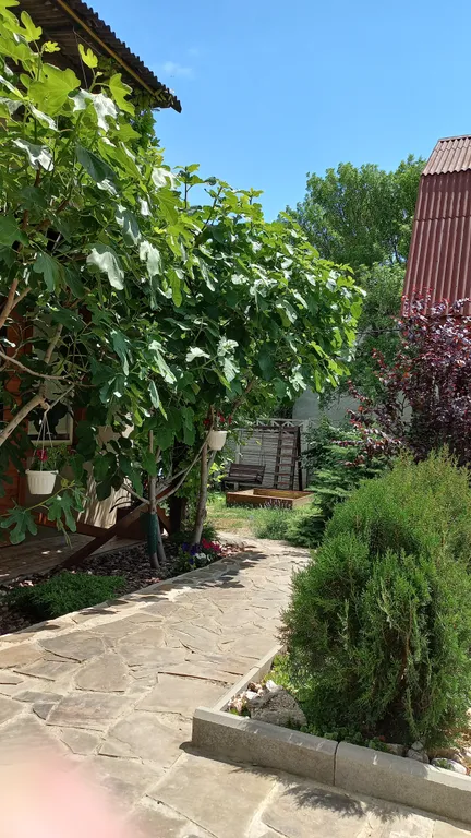 2-этажный 3-комнатный деревянный коттедж