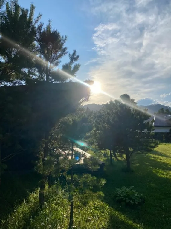 Отдых в живописном месте Алтая