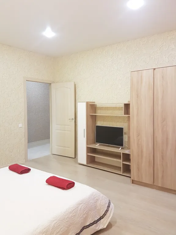 Уютный апартамент рядом с Мегой