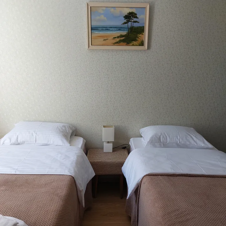 Квартира Квартира Двушка с 4 раздельными спальными местами в курортной зоне, всё рядом — Светлогорск