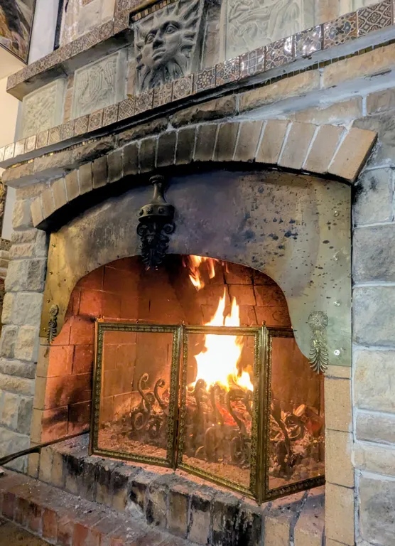 Большой красивый дом с камином в лесу