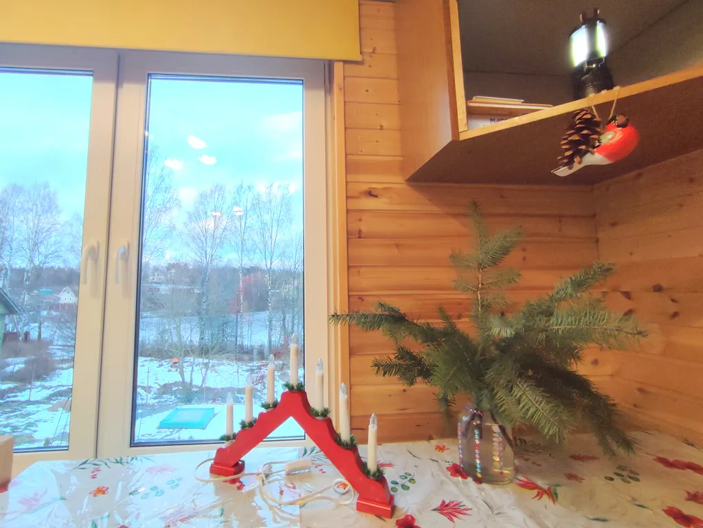 Птица синица House с огромным балконом у озера