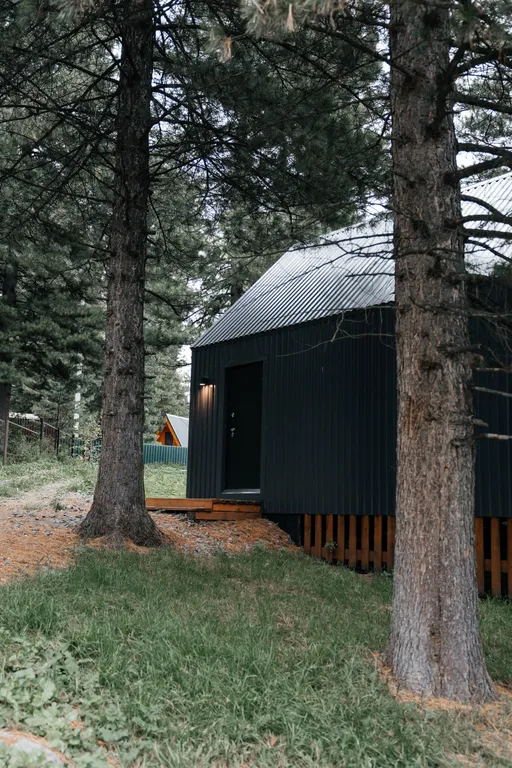 Уютный домик в кедровом лесу