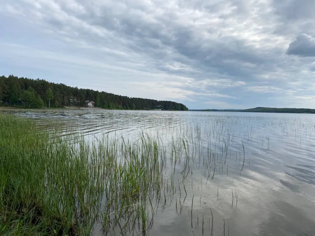 Дом с бассейном