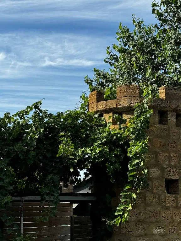 Коттедж Дача на берегу реки в стиле Старый замок — Козет