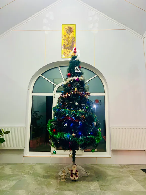 Дом для отдыха Хэйлун дом №86 "поднебесная"