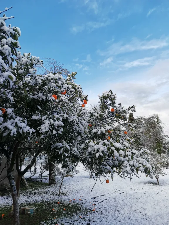 Дом с морем за калиткой