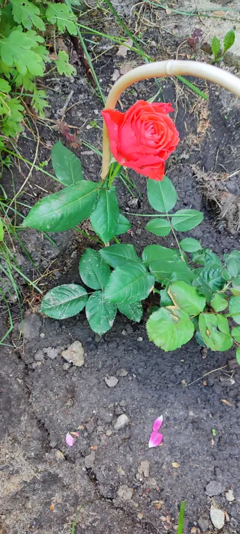 Весь первый уютный этаж с видом на природу