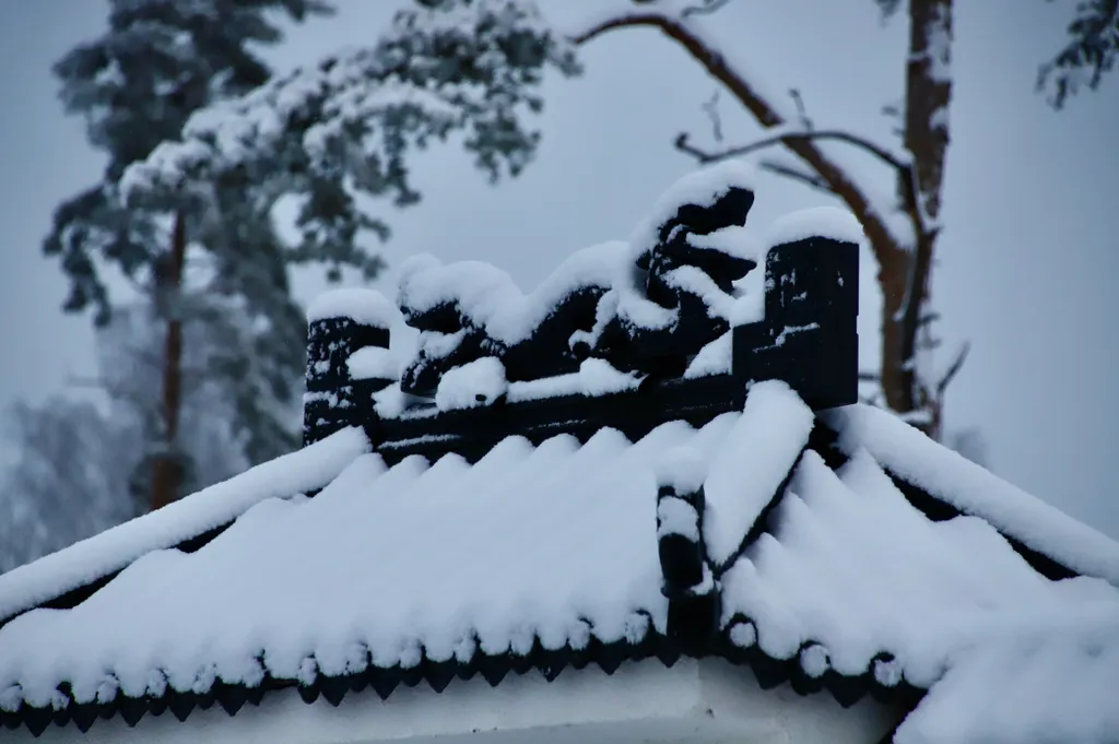 База отдыха Хэйлун Дом №3 Шэньчжоу