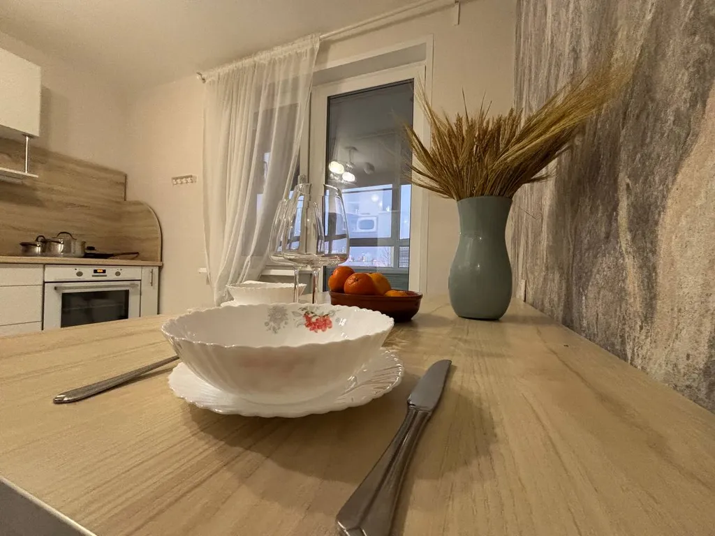 Шикарная квартира в центре города в 5 минутах от ФОК Мещерский