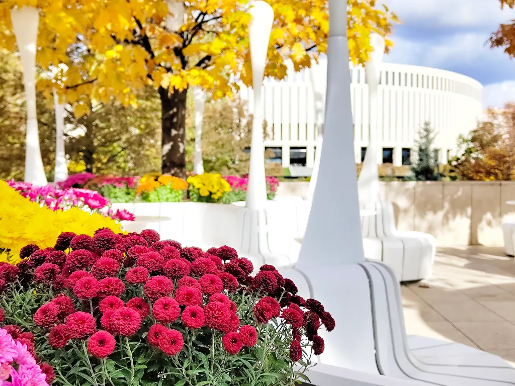 Квартира Уютная квартира рядом с парком Галицкого — Краснодар