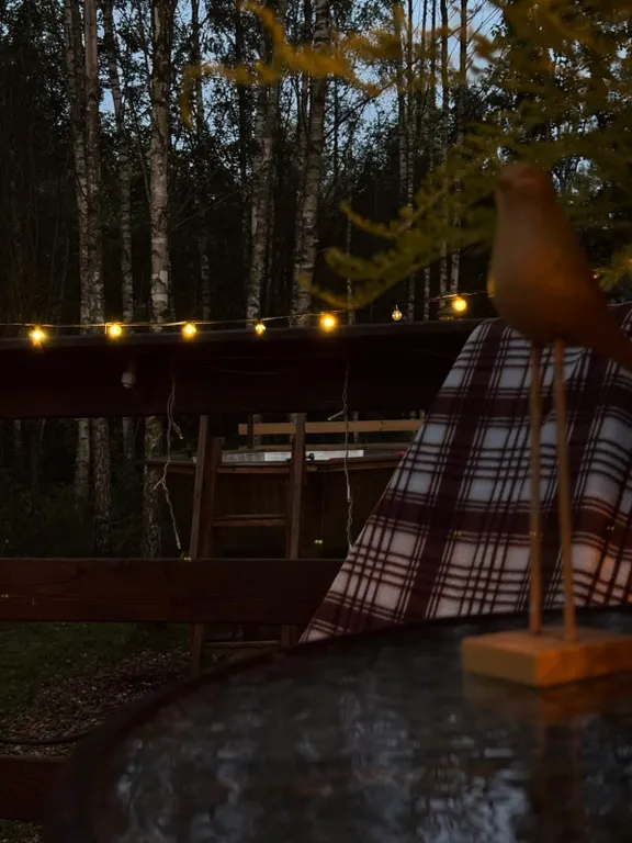 Дом в стиле A-fram