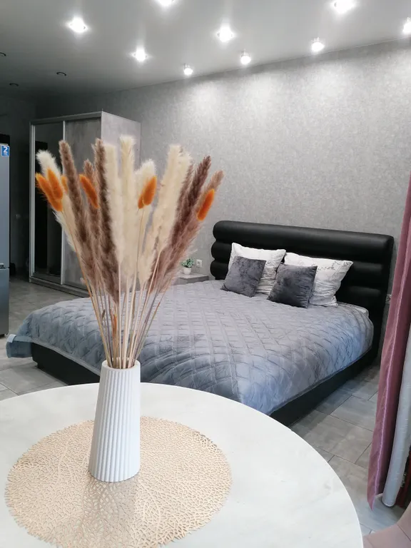 Студия в центре