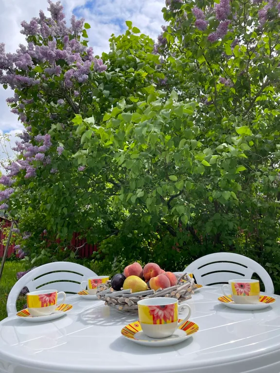 Скандинавский домик в историческом районе Сортавала у горы Кухавуори