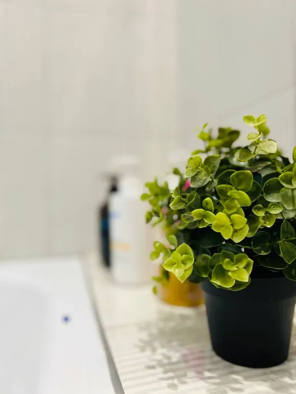 Уютная и просторная 1 квартира у ТЦ Остров