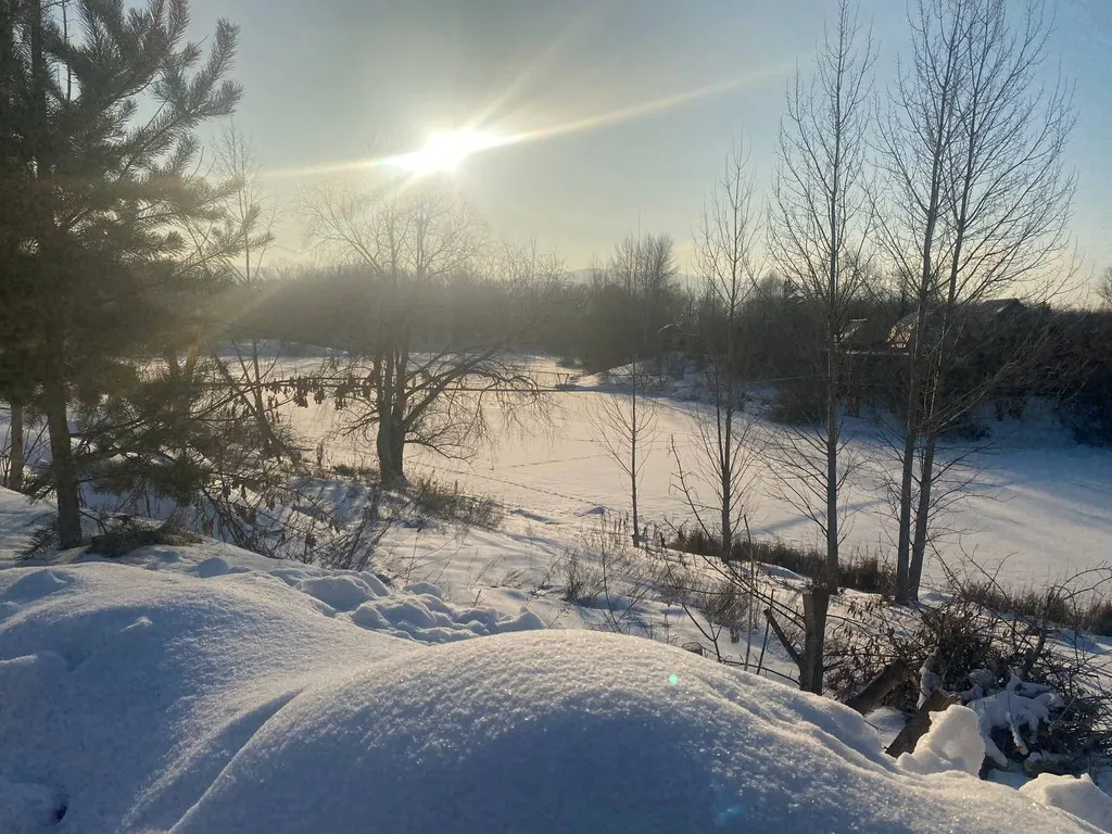 Деревянный домик с русской банькой в Большой Царевщине