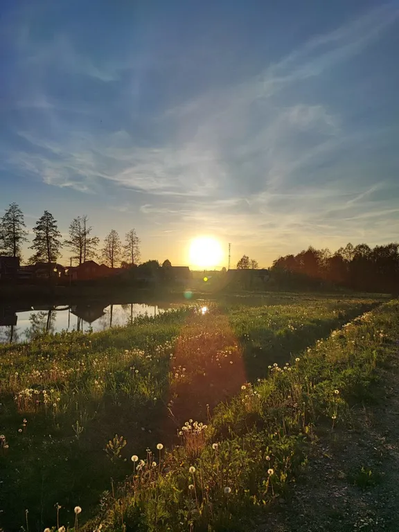 Новый стильный дом в окружении леса