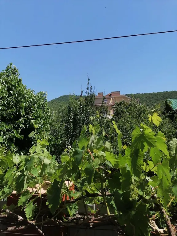 Уютная квартира-студия, с  балконом