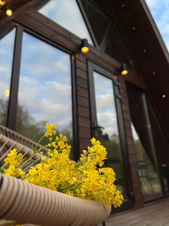 Дом с ковром