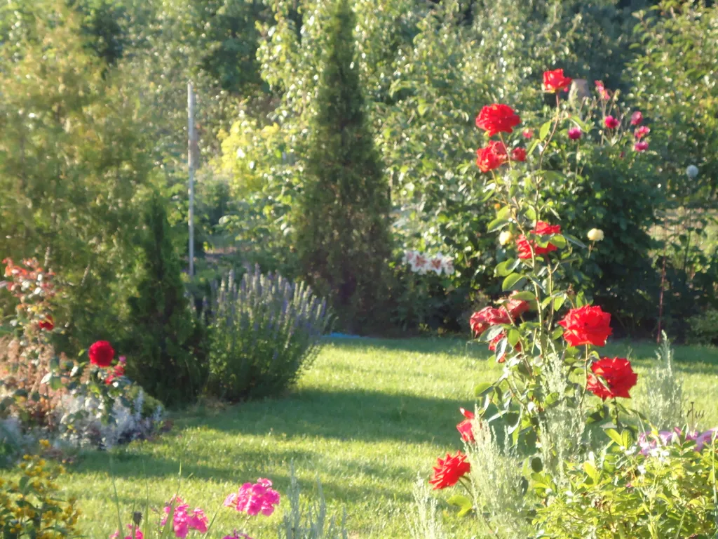 Уютный домик с видом на музей