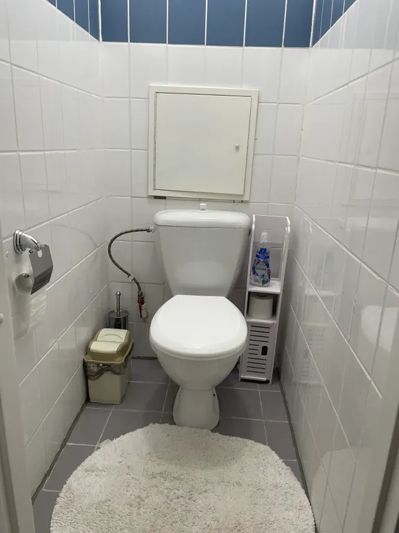 Просторная уютная трёхкомнатная квартира