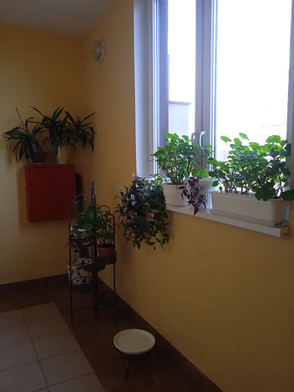 Квартира Квартира В гости к Эмме — Светлогорск