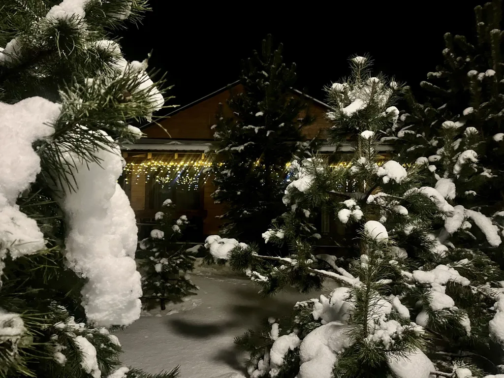 Трёхкомнатный коттедж в лесу у пруда — аренда посуточно в Звенигород