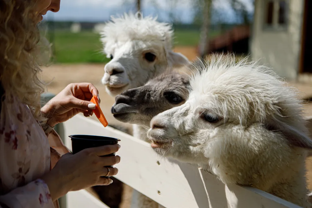 Шикарный дом с сауной и горячим чаном