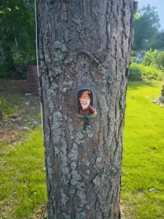 Уютный домик-баня с купелью в тихом местечке