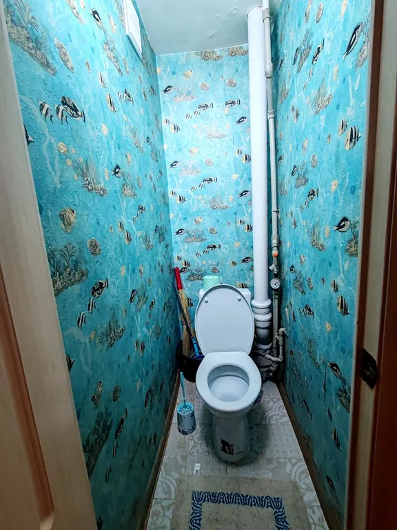 Все в гости к Аленке