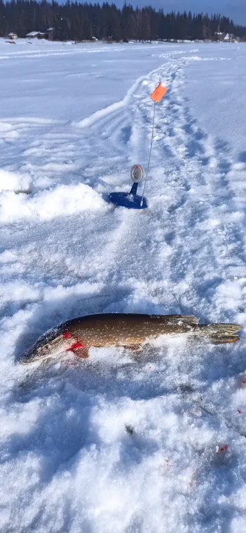 Домик с видом на озеро