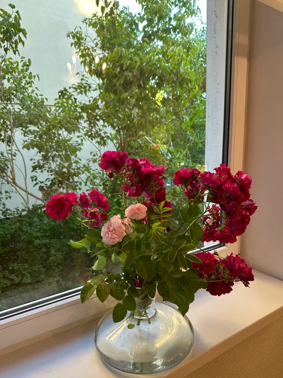 Квартира Уютная квартира в центре Амалиенау с выходом в сад — Калининград