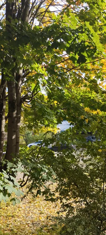 Уютная комната