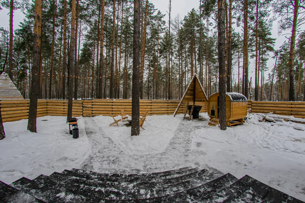 Вилла в Сосновом лесу с чаном и баней